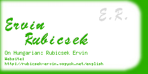 ervin rubicsek business card
